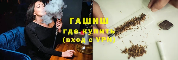 сатива Алзамай