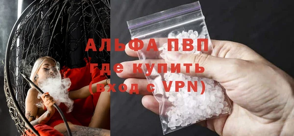 сатива Алзамай