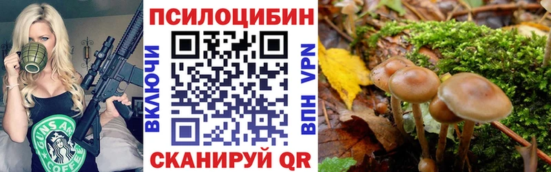Псилоцибиновые грибы MAGIC MUSHROOMS  ссылка на мегу зеркало  Гусиноозёрск 