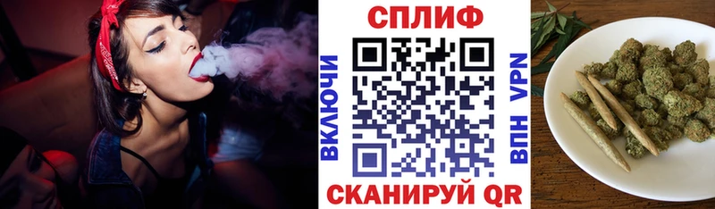 где купить наркотик Гусиноозёрск Бошки Шишки тримм
